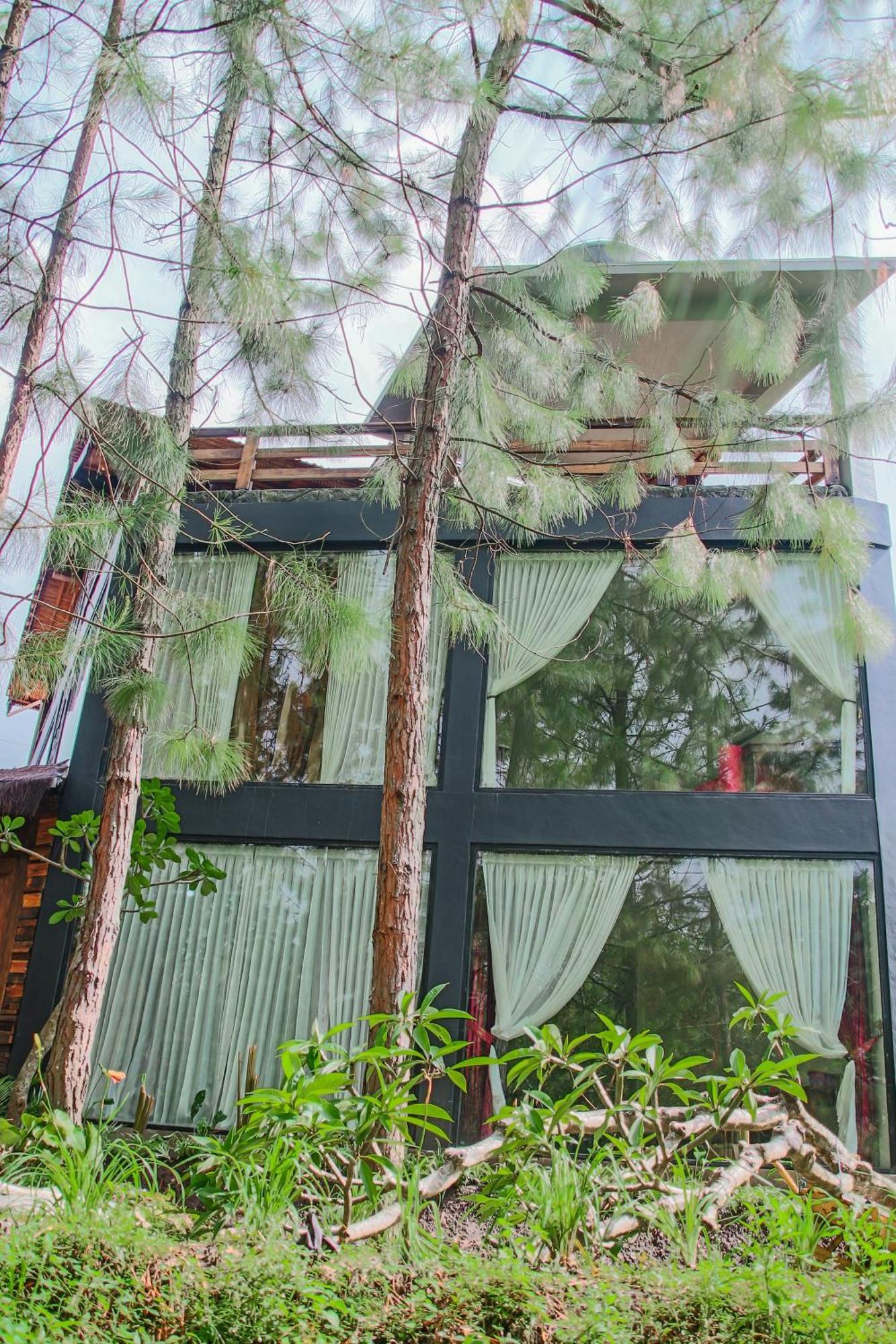 Omah Kayu Bromo Villa Ngadisari Dış mekan fotoğraf