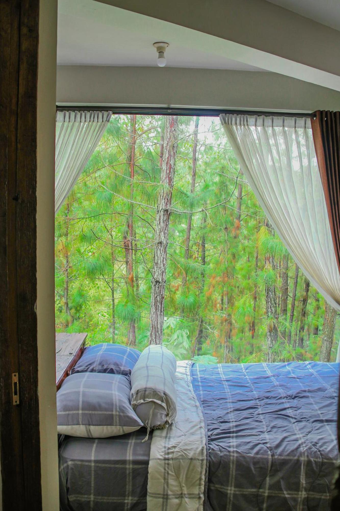 Omah Kayu Bromo Villa Ngadisari Dış mekan fotoğraf